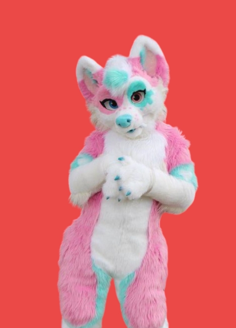 Fursuite