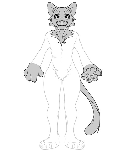 Mini Partial