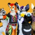 How to Take Care of Your Fursuit