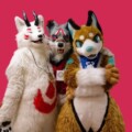 Behind the Scenes: Making a Fursuit Head